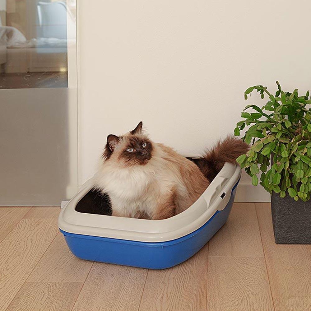 Ferplast Litter Tray Birba Açık Kedi Tuvaleti 56x43x21 Cm