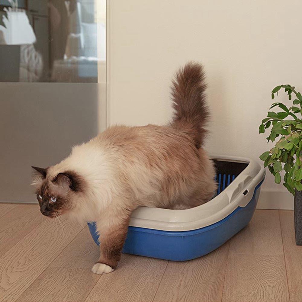 Ferplast Litter Tray Birba Açık Kedi Tuvaleti 56x43x21 Cm