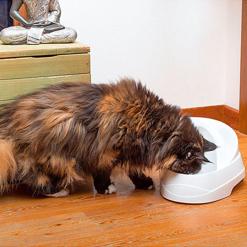 Ferplast Vega Şelale Kediler İçin Otomatik Su Kabı 2 Lt