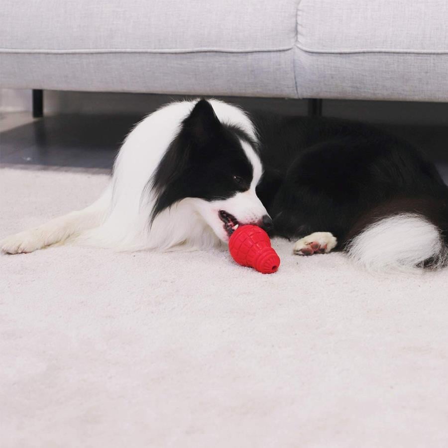 Gigwi Ampul Şekilli Diş Kaşıma Köpek Oyuncağı