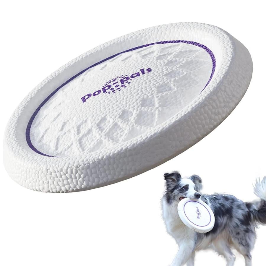 Gigwi Frizbi (Uçuş Diski) Medium Köpek Oyuncağı