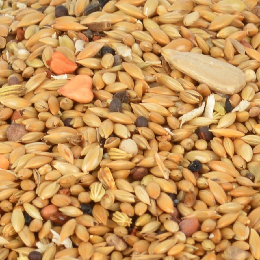 Gold Wings Classic Kondisyon ve Öttürücü Kanarya Yemi 150 Gr