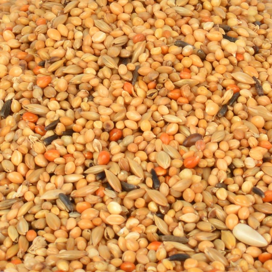 Gold Wings Classic Tropical Finch Yemi 400 Gr