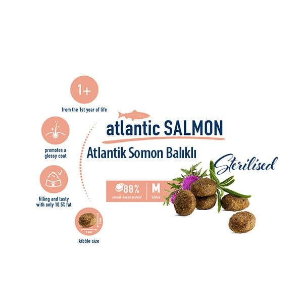 Happy Cat Atlantic Lachs Somonlu Kısırlaştırılmış Kedi Maması 4 Kg