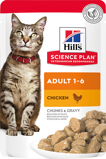 Hill's Pouch Tavuklu Yetişkin Kedi Yaş Maması 85 Gr