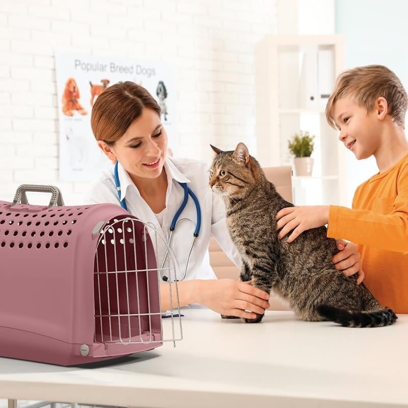 Imac Linus Evcil Hayvan Taşıma Çantası Pembe 52,5 x 32 x 34,5 Cm