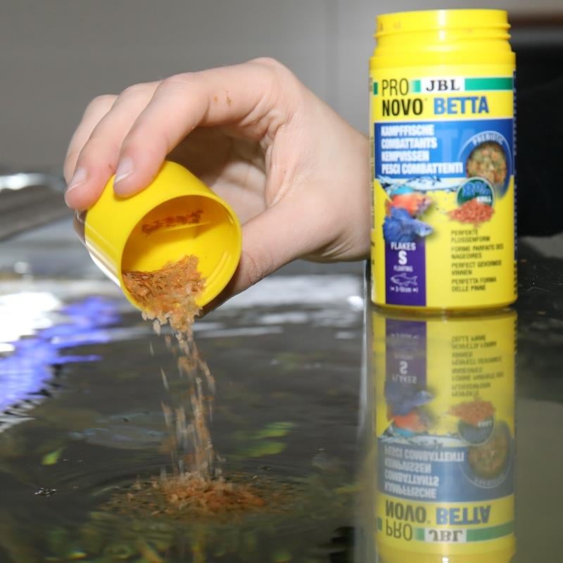 Jbl Pronovo Betta Flakes S 20 Ml (Betta Balıkları İçin Pul Yem)