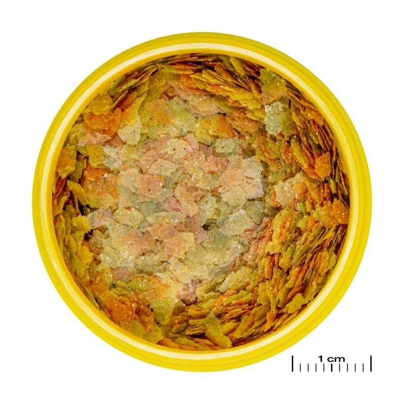 Jbl Pronovo Betta Flakes S 20 Ml (Betta Balıkları İçin Pul Yem)