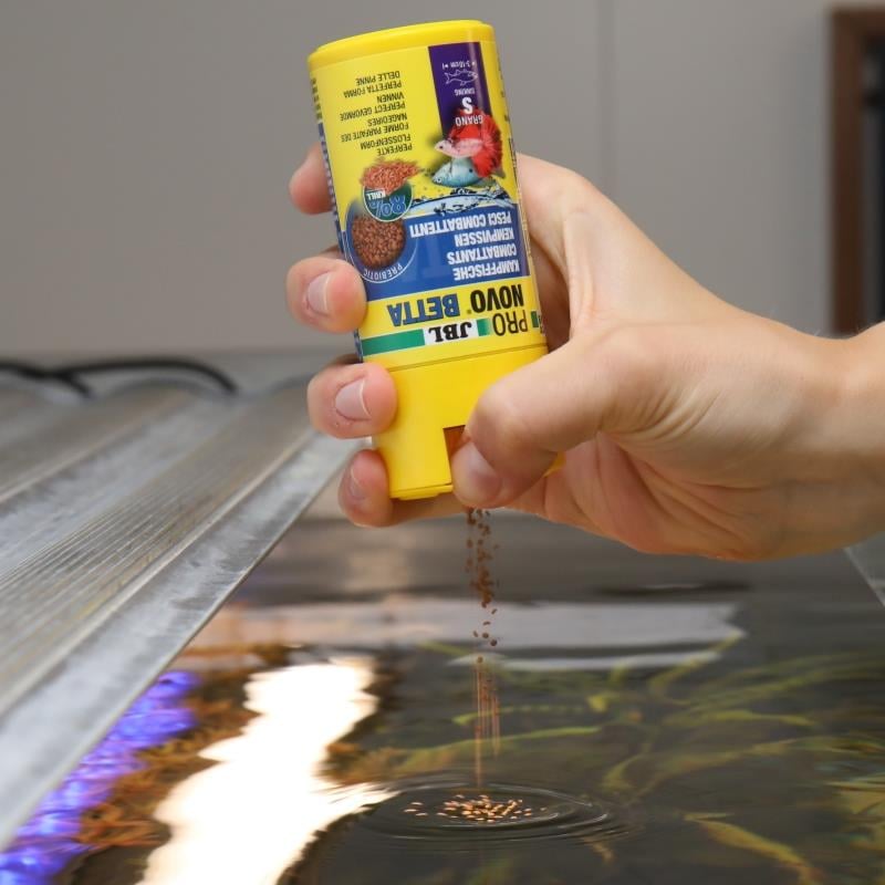 Jbl Pronovo Betta Grano S 100 Ml (Betta İçin Granül Yem)