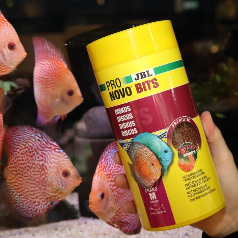 Jbl Pronovo Bits Grano M 250 Ml (Granül Yem)