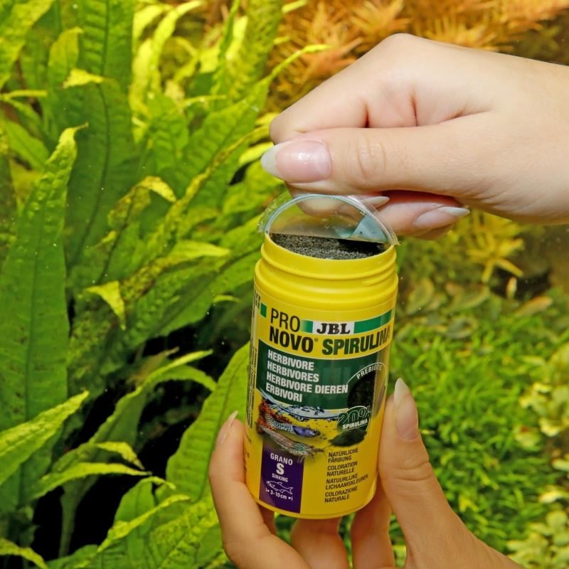 Jbl Pronovo Spirulina Grano S 100 Ml (Granül Yem)