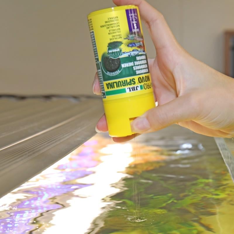 Jbl Pronovo Spirulina Grano S 100 Ml (Granül Yem)