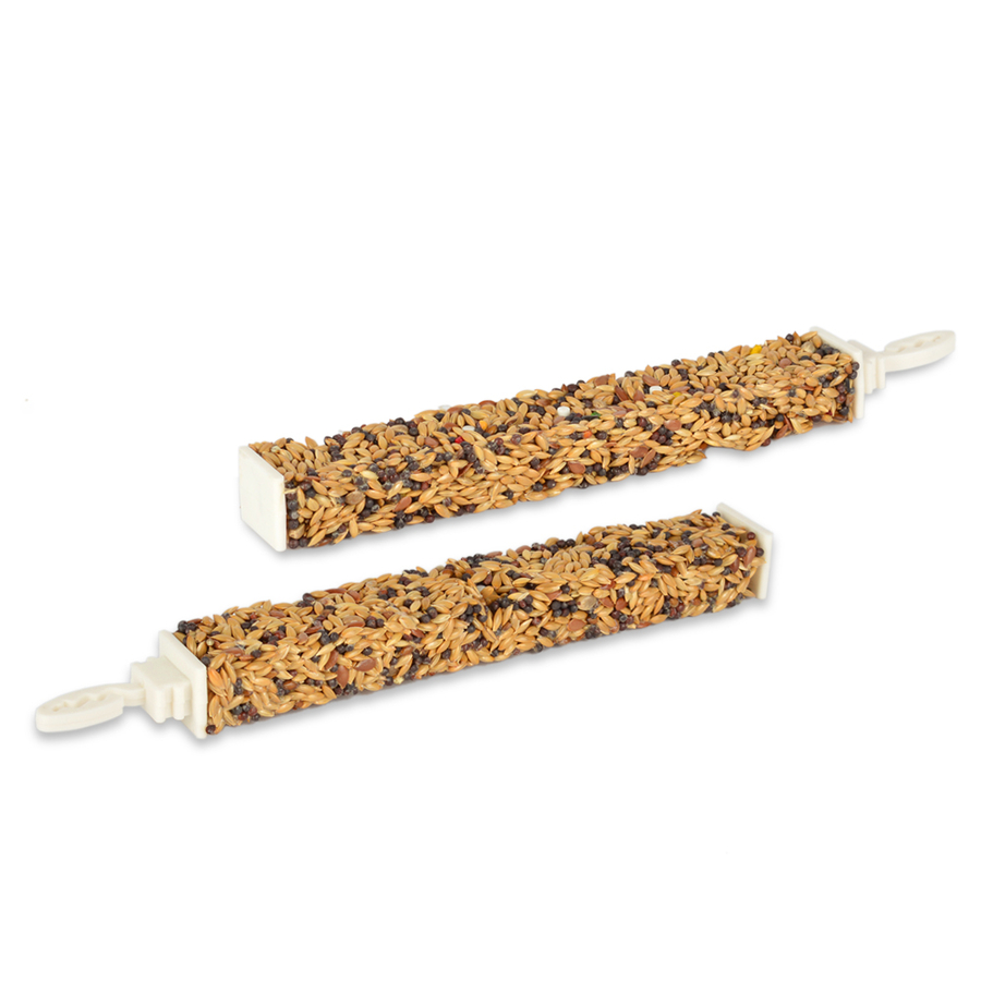 Jungle Ballı Yumurtalı Kanarya Krakeri 3'lü Paket