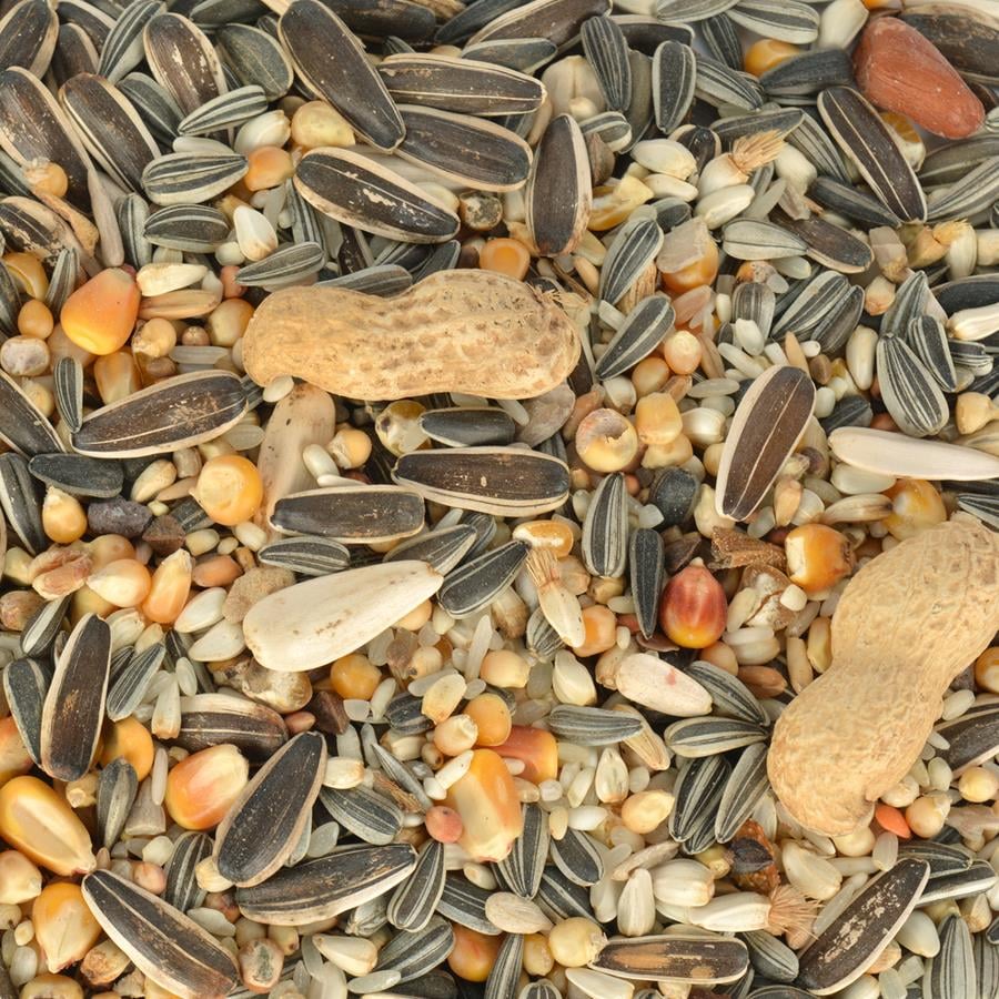 Jungle Papağan Yemi 500 Gr.