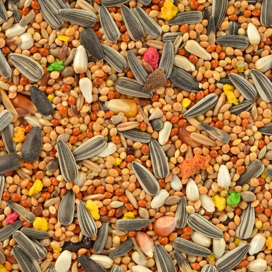 Jungle Paraket Yemi 500 Gr.