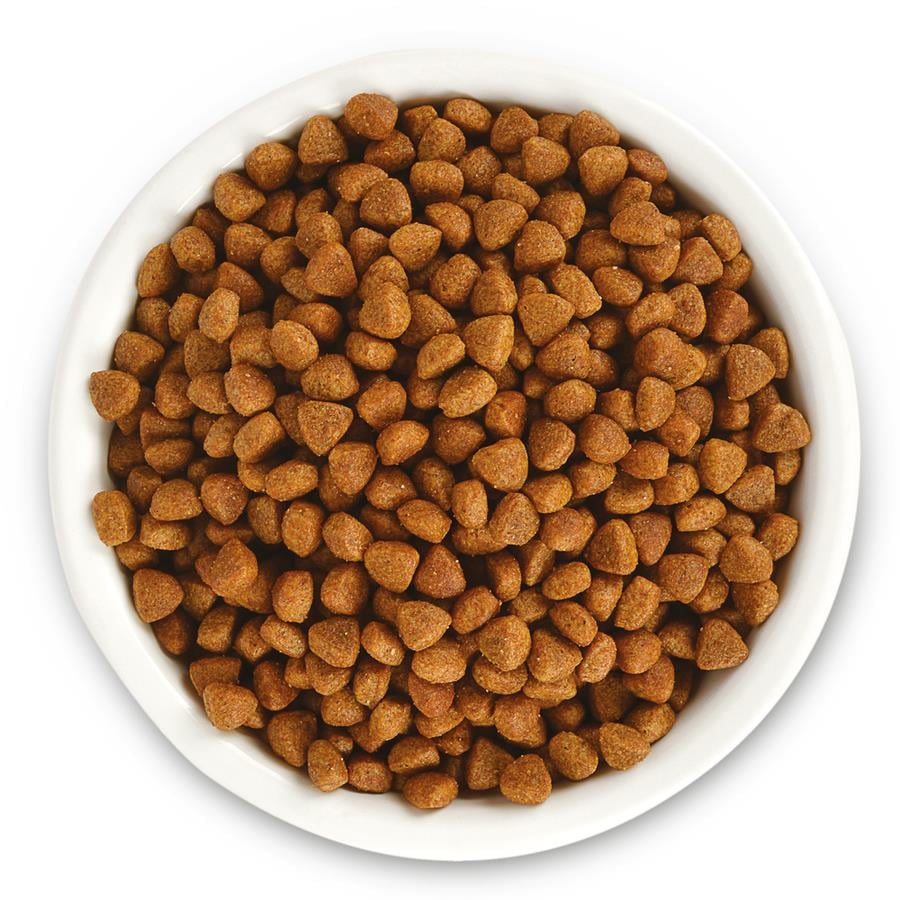 Jungle Tavuklu Yavru Kedi Maması 1,5 Kg