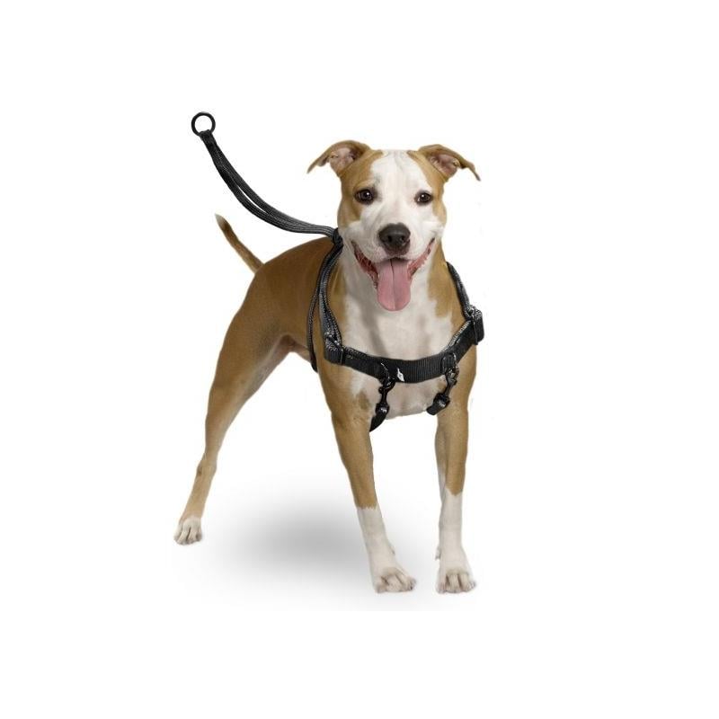 Karlie Easy Walker Köpek Göğüs Tasması M 31x39 Cm