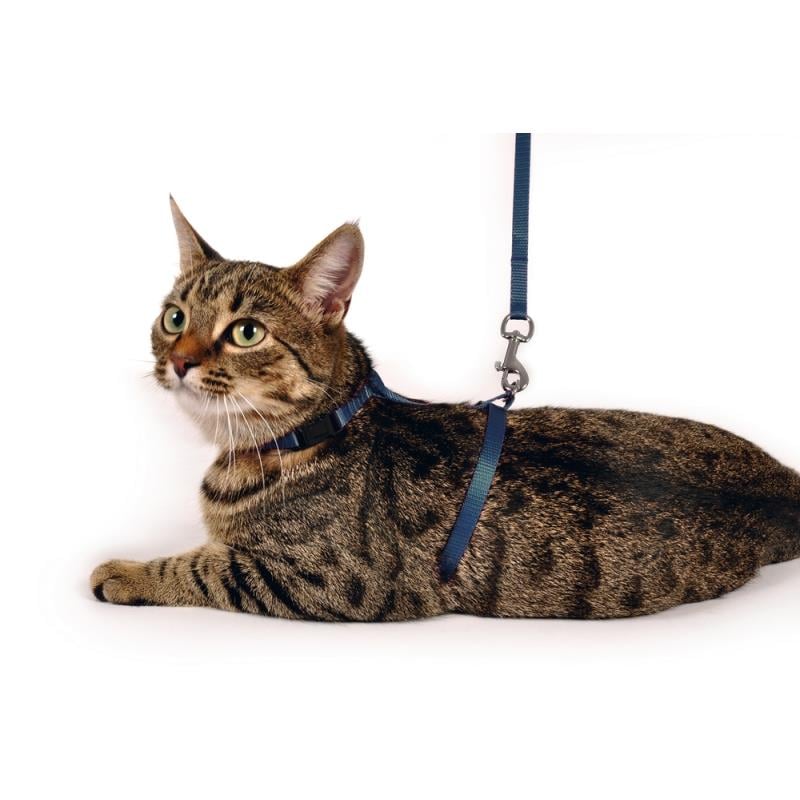 Karlie Kedi Göğüs Tasması Mavi 110 Cm