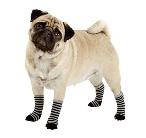 Karlie Köpek Çorabı 4'lü XS Gri & Siyah 39x28 Mm