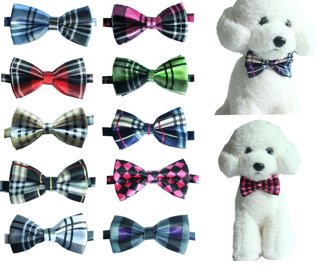 Lion Pet Papyon Kedi ve Köpek Aksesuarı