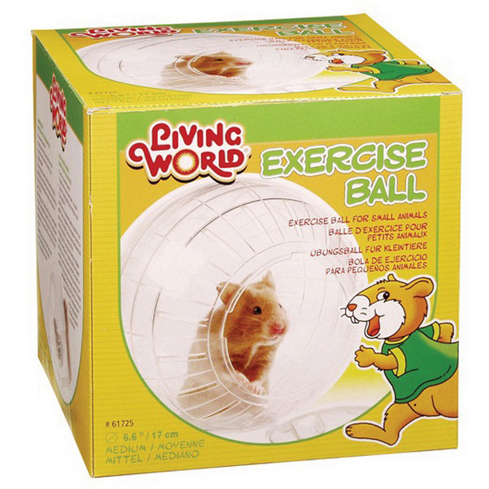 LivingWord Hamster Topu Şeffaf Standlı Orta Boy