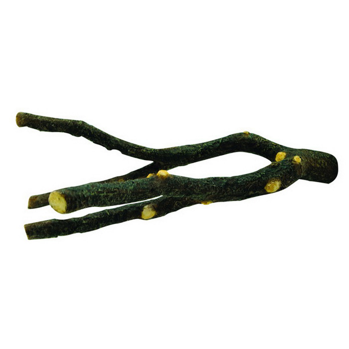 LivingWord Tünek Ağaç Dalı