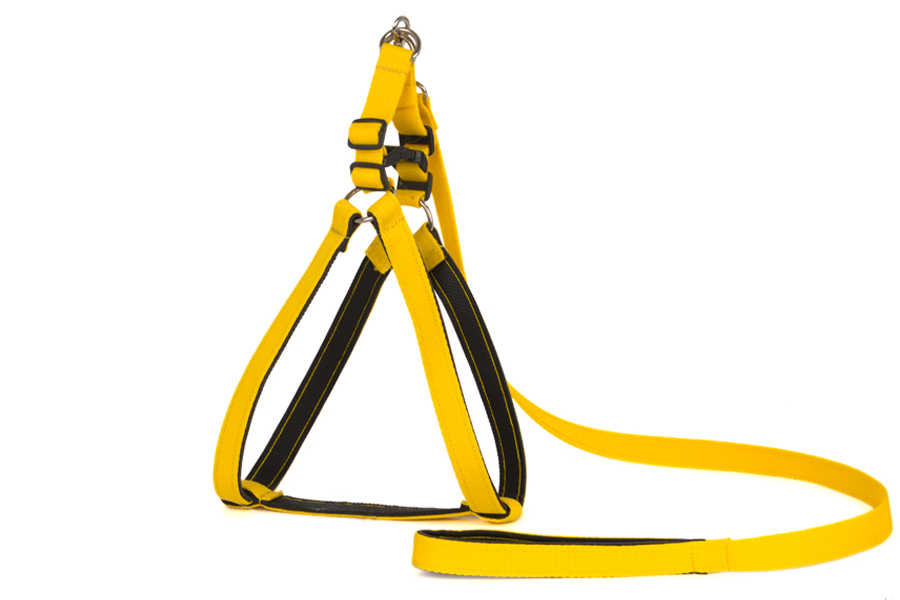 Pet Preety Yumuşak Dokulu Köpek Göğüs Tasma Takımı No:4