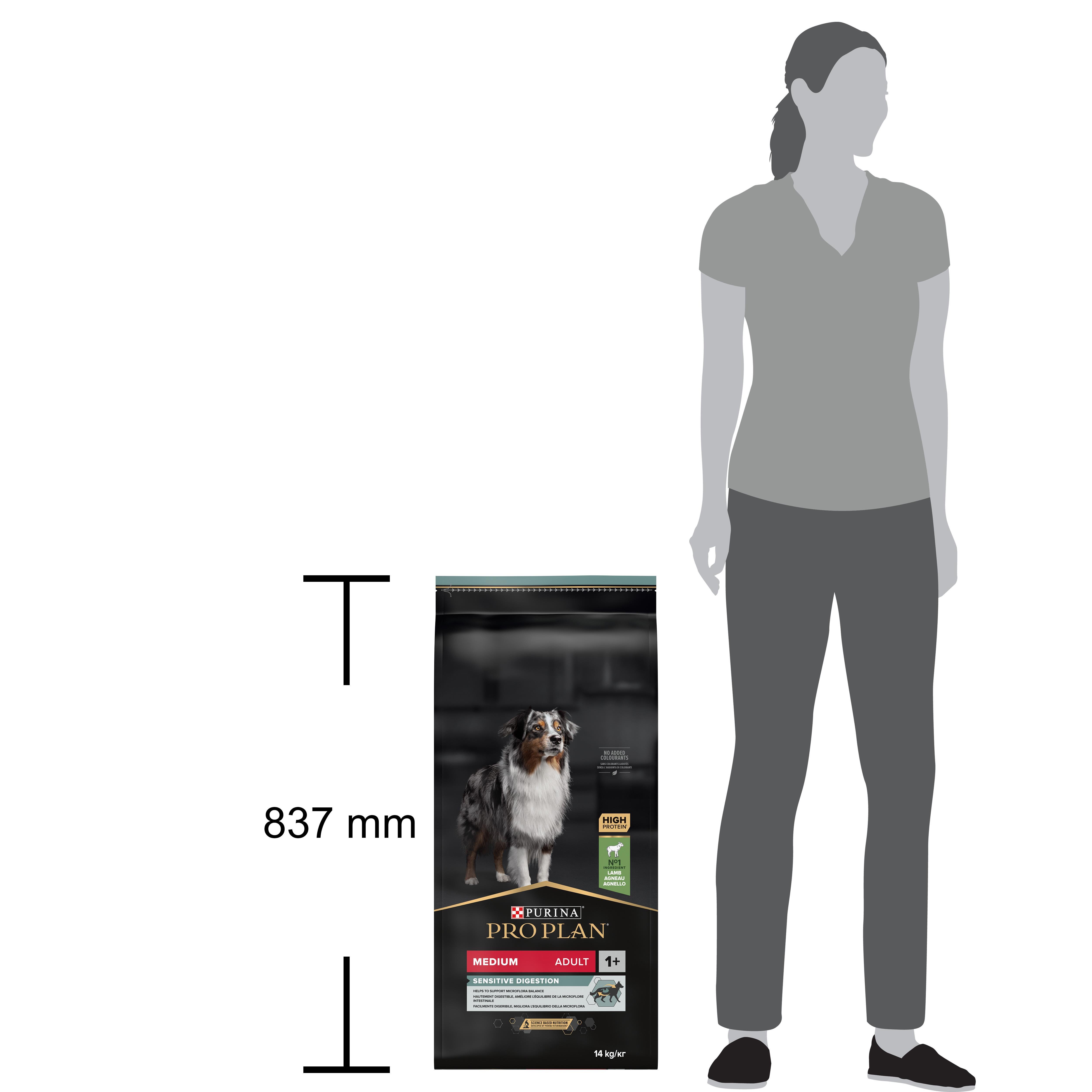 Pro Plan Medium Adult Kuzulu Orta Irk Yetişkin Köpek Maması 14 Kg 