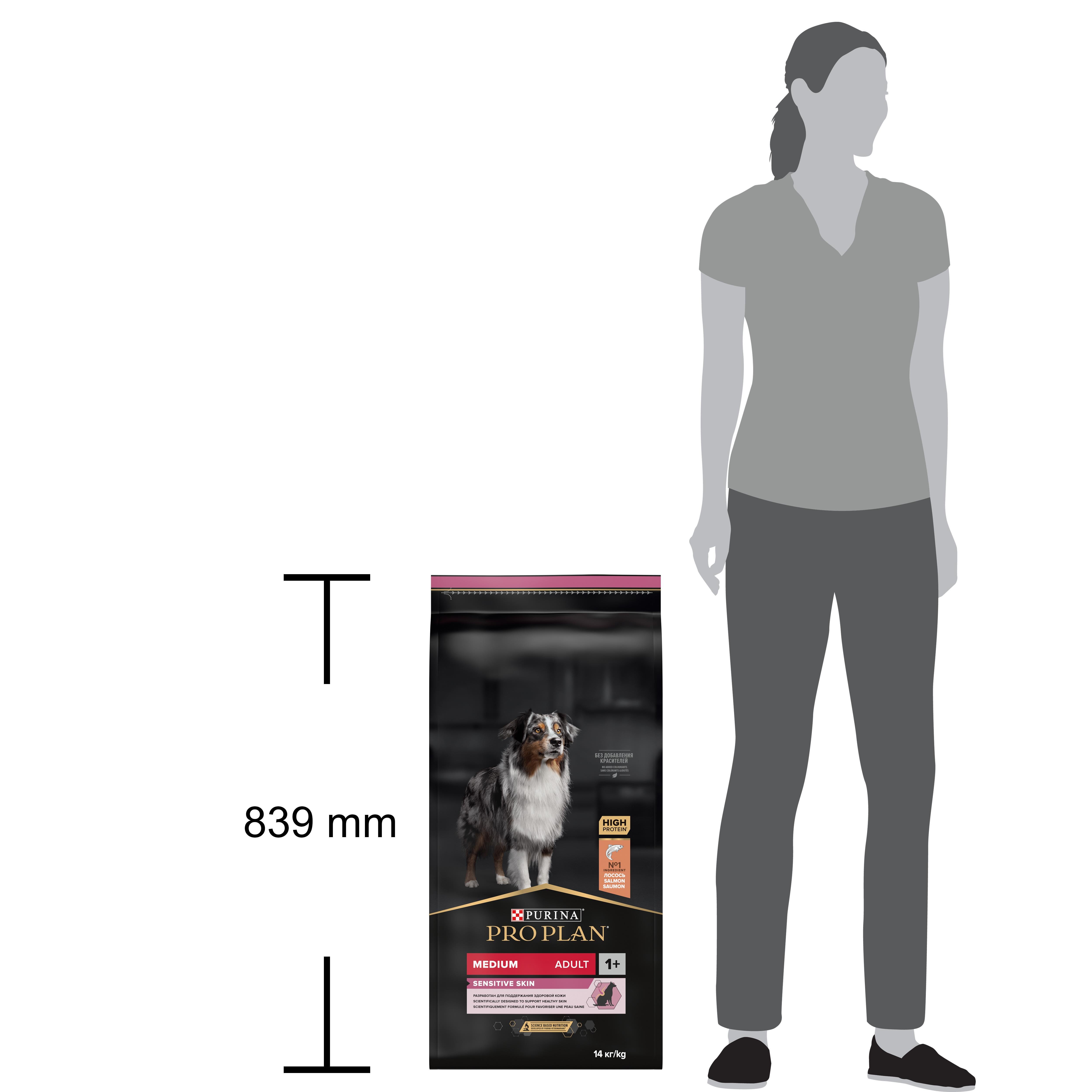 Pro Plan Medium Adult Somonlu Orta Irk Yetişkin Köpek Maması 14 Kg 