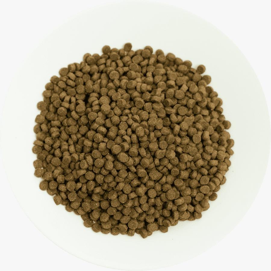 Prochoice 38 HypoAllergenic Düşük Tahıllı Kuzulu ve Pirinçli Yavru Kedi Maması 2 Kg