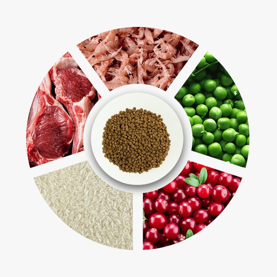 Prochoice 38 HypoAllergenic Düşük Tahıllı Kuzulu ve Pirinçli Yavru Kedi Maması 2 Kg