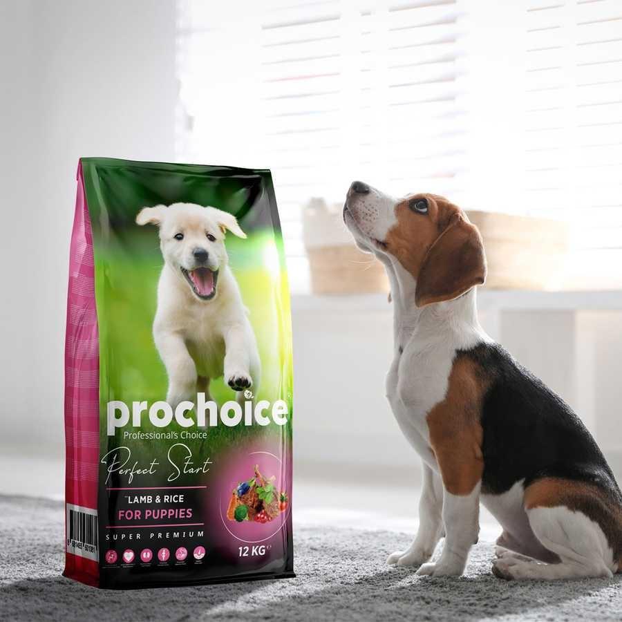 Prochoice Perfect Start Kuzulu ve Pirinçli Yavru Köpek Maması 3 Kg