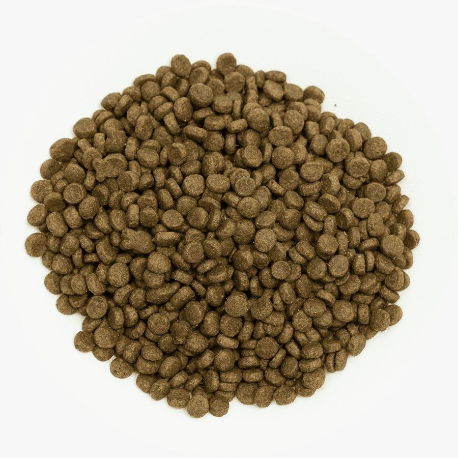 Prochoice Perfect Start Kuzulu ve Pirinçli Yavru Köpek Maması 12 Kg