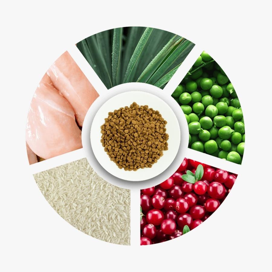 Prochoice Pro 32 Sterilised Düşük Tahıllı Tavuklu Kısırlaştırılmış Kedi Maması 15 Kg