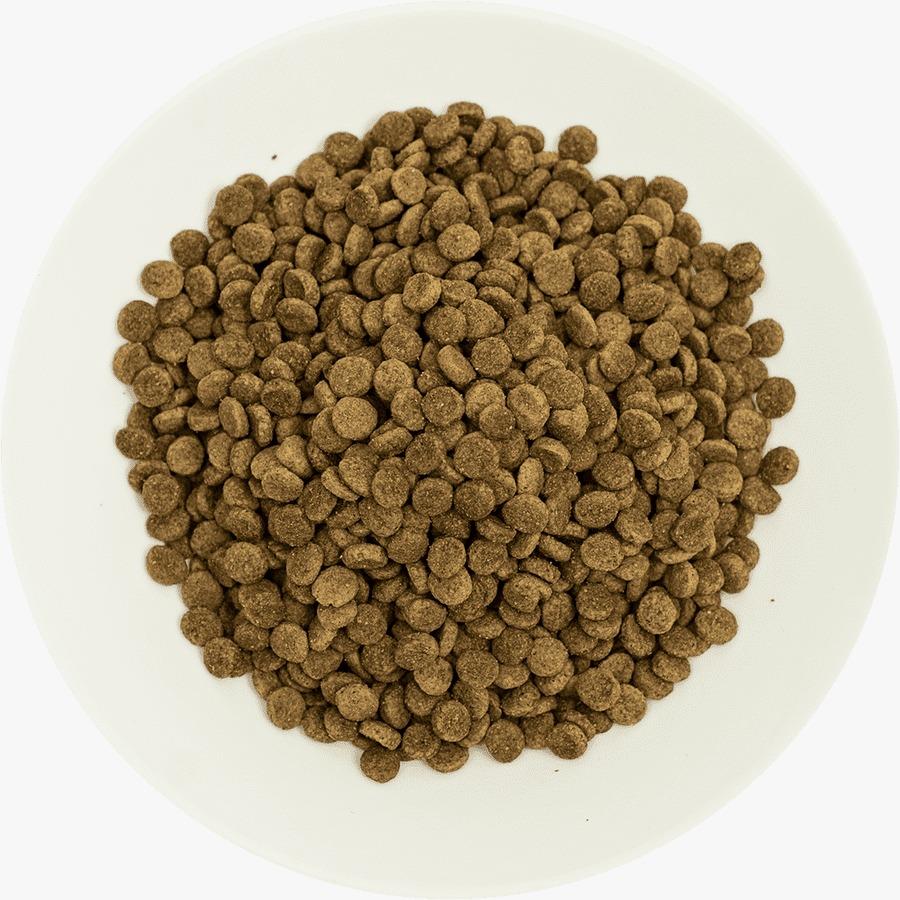 Prochoice Pro 33 Sterilised Düşük Tahıllı Somonlu ve Karidesli Kısırlaştırılmış Kedi Maması 2 Kg