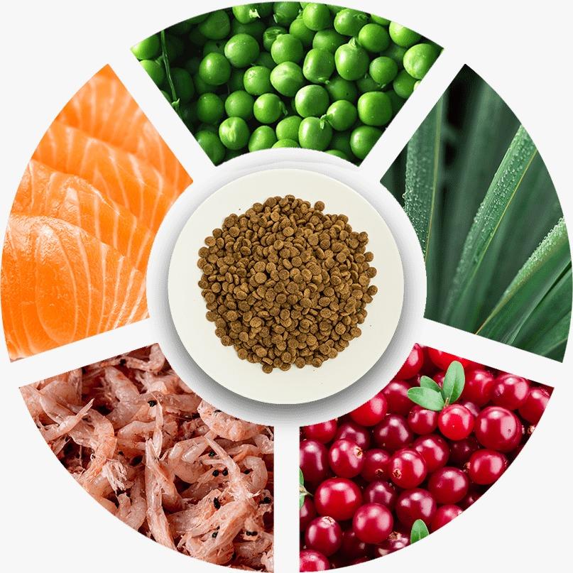 Prochoice Pro 33 Sterilised Düşük Tahıllı Somonlu ve Karidesli Kısırlaştırılmış Kedi Maması 2 Kg