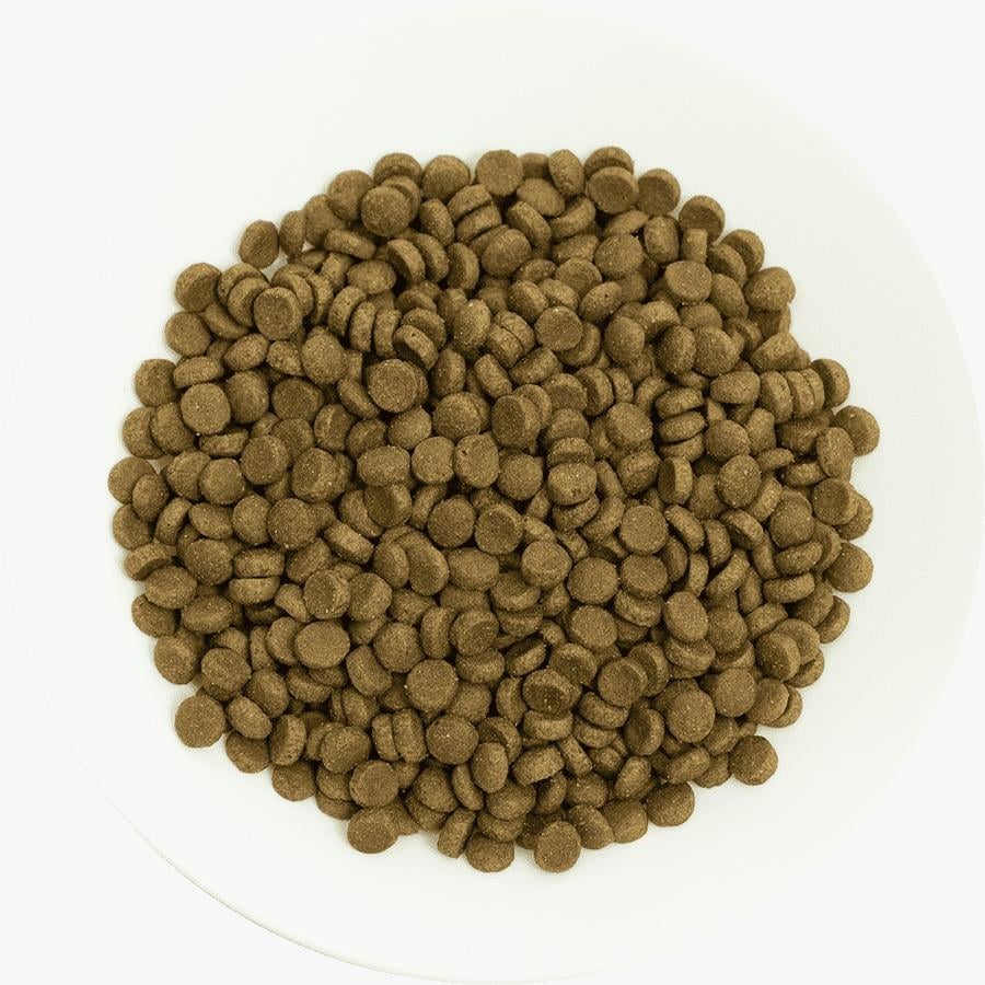 Prochoice Pro 36 Düşük Tahıllı Kuzulu ve Pirinçli Yetişkin Kedi Maması 15 Kg