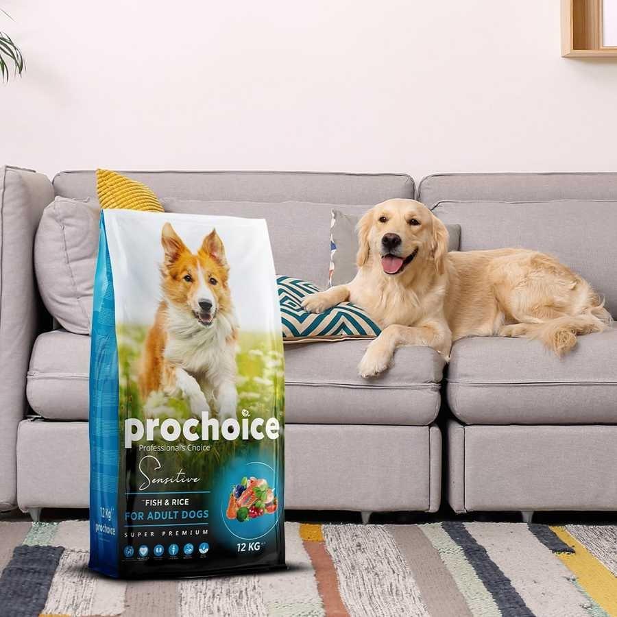 Prochoice Sensitive Balık ve Pirinçli Hassas Derili Köpekler İçin Yetişkin Köpek Maması 12 Kg
