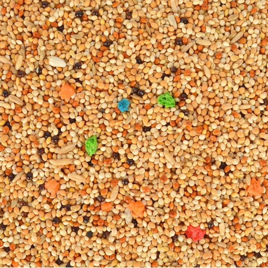 Quik Gurme Muhabbet Kuşu Yemi 500 Gr.