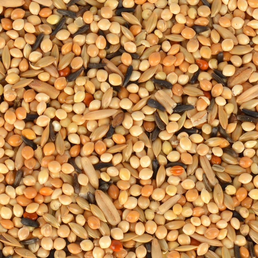 Quik Junior Yavru Muhabbet Kuşu Yemi 400 Gr.