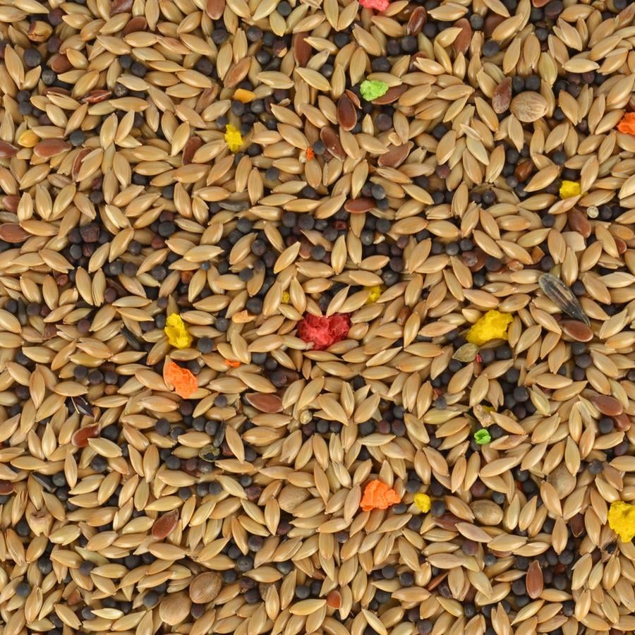 Quik Kanarya Yemi 500 Gr