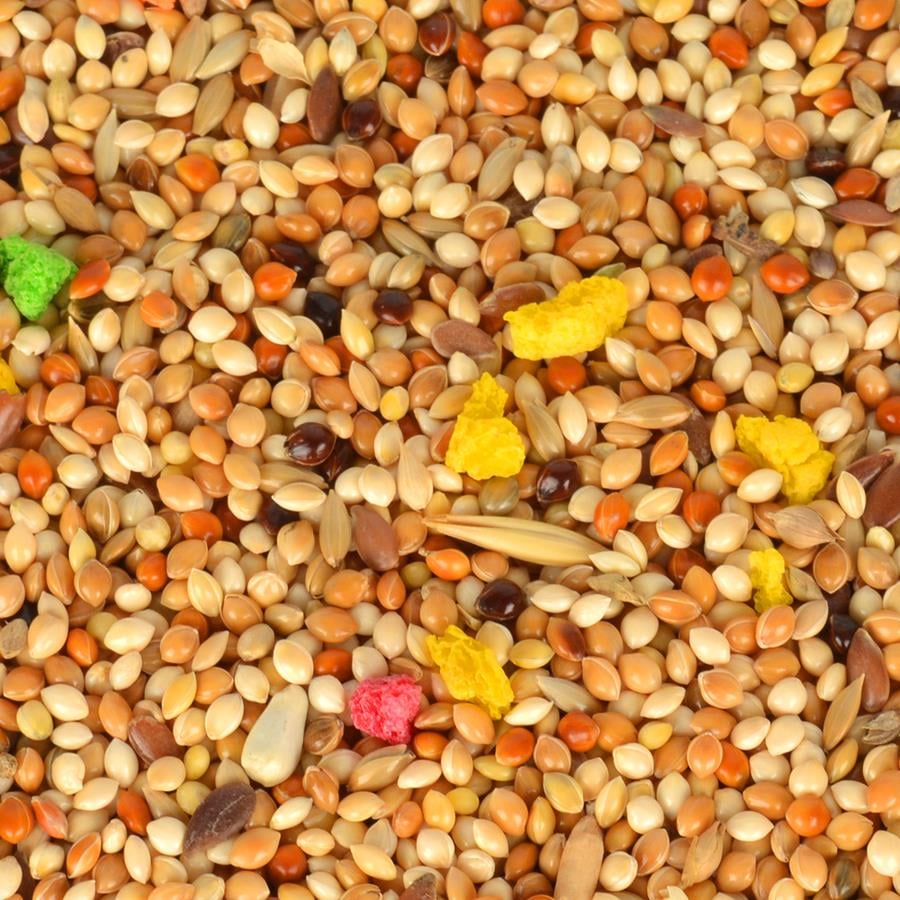 Quik Muhabbet Kuşu Yemi 400 Gr