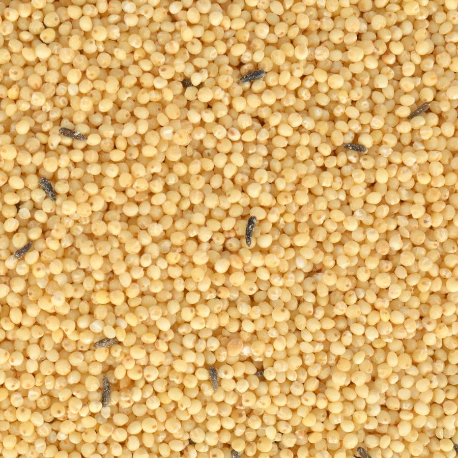 Quik Special Kabuksuz Muhabbet Kuşu Yemi 400 Gr.