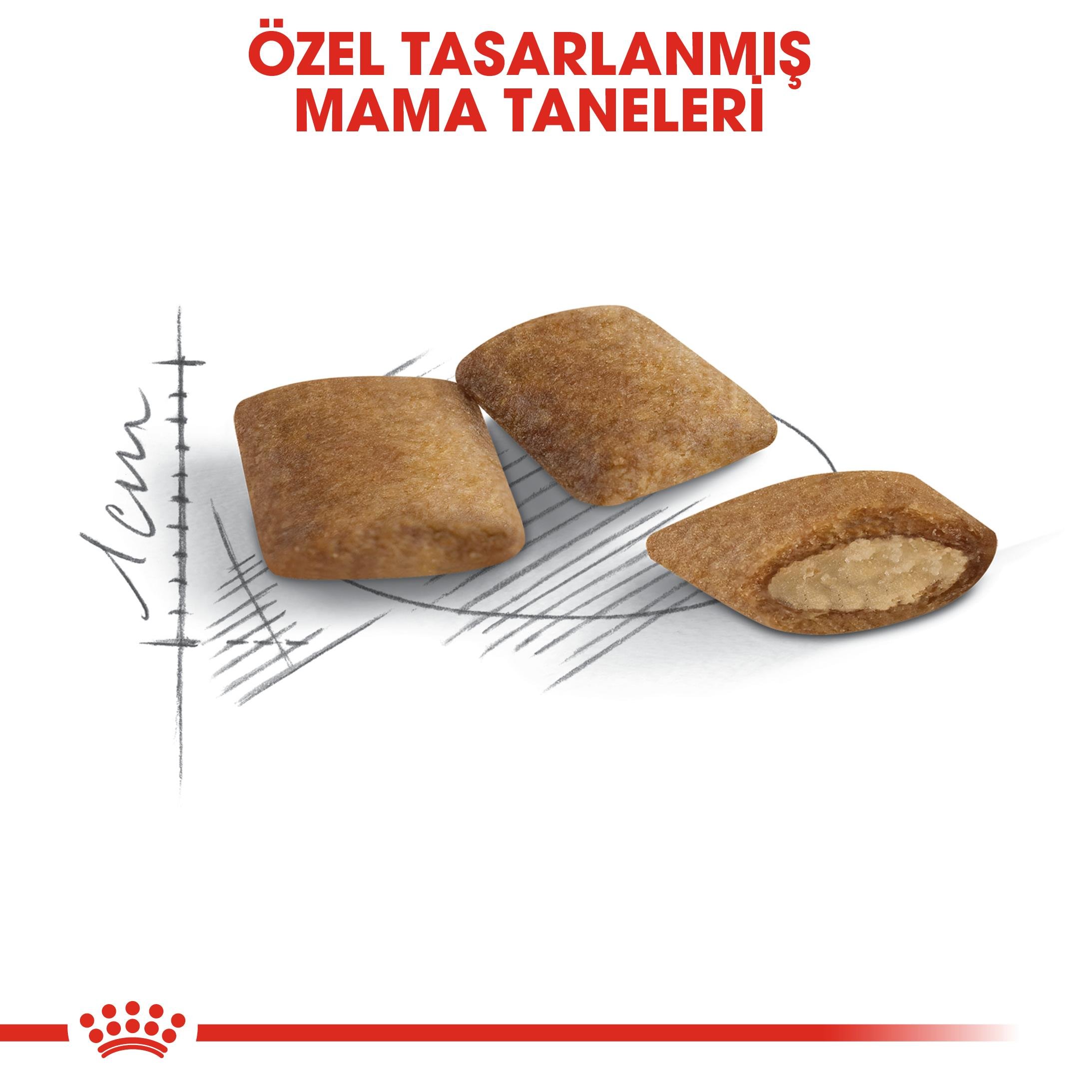 Royal Canin Ageing 12+ Yaşlı Kedi Maması 2 Kg 