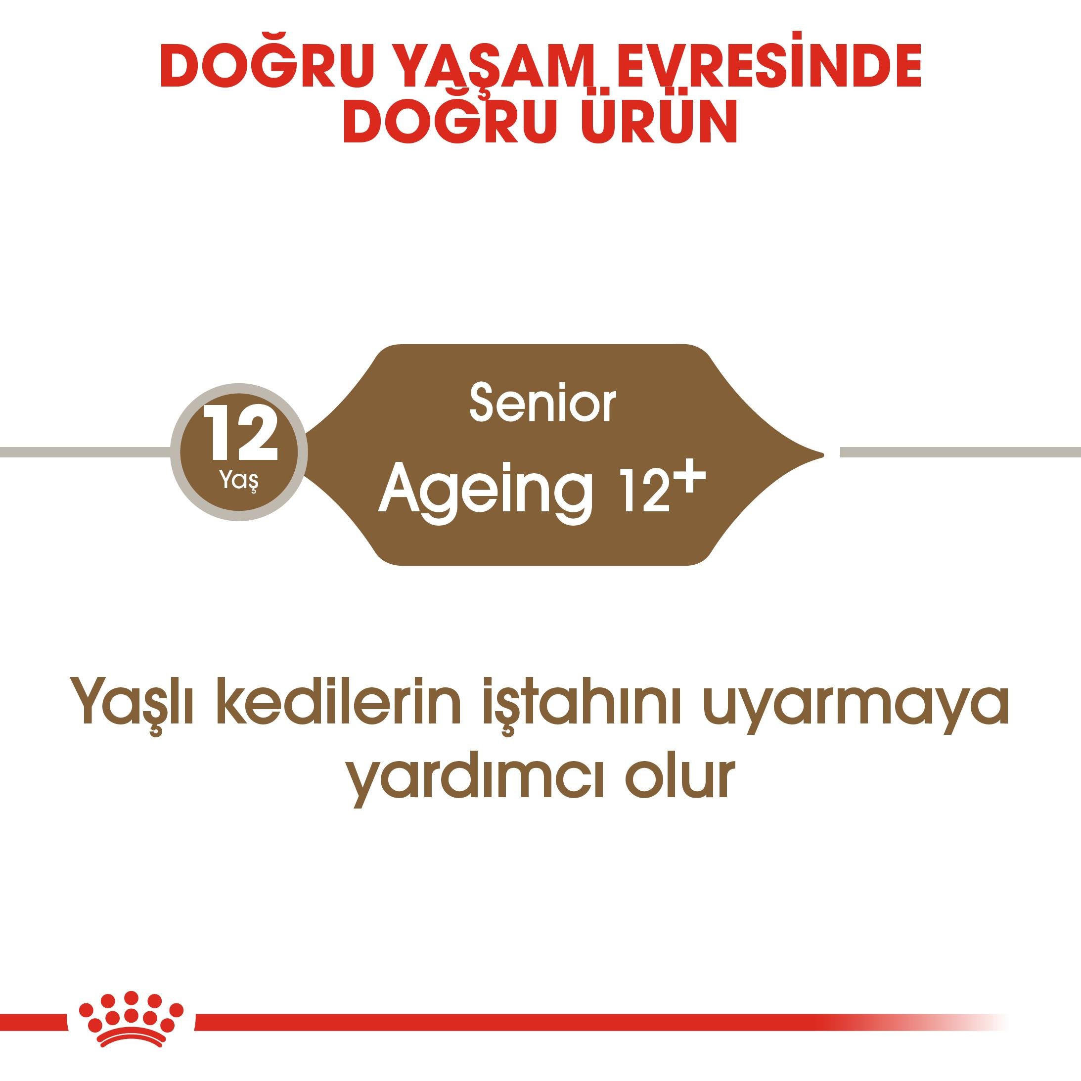 Royal Canin Ageing 12+ Yaşlı Kedi Maması 2 Kg 