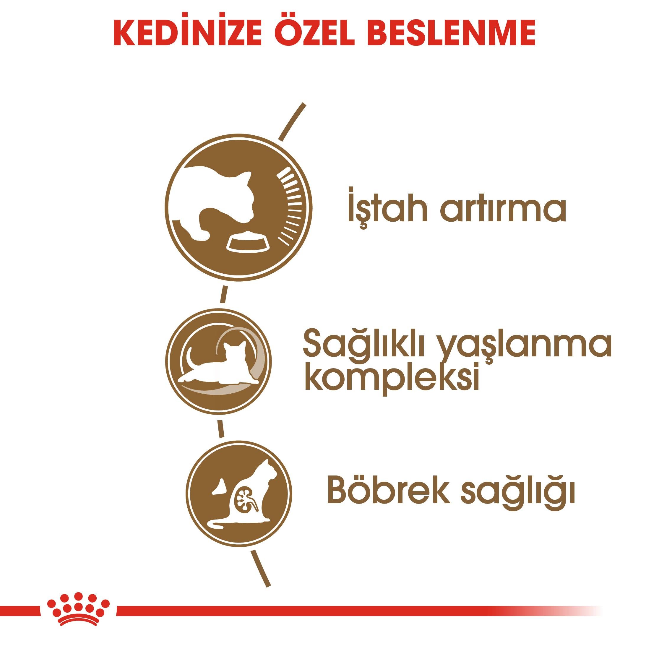 Royal Canin Ageing 12+ Yaşlı Kedi Maması 2 Kg 