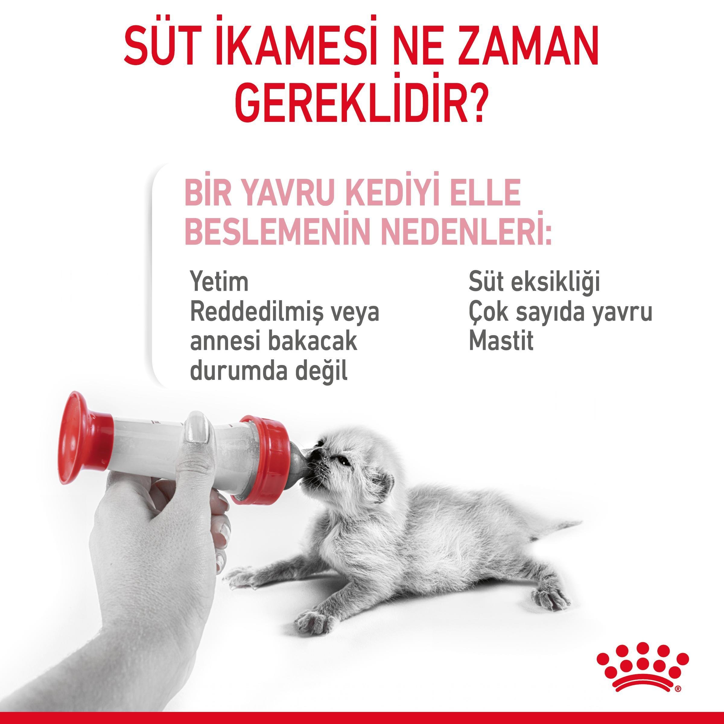 Royal Canin Babycat Milk Yavru Kedi Süt Tozu 300 Gr