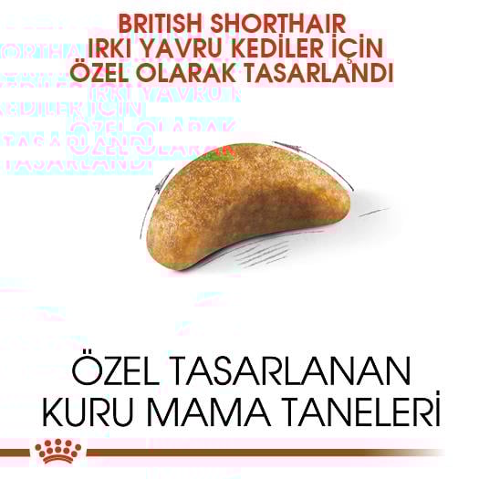 Royal Canin British Shorthair Kitten Yavru Kedi Maması 2 Kg