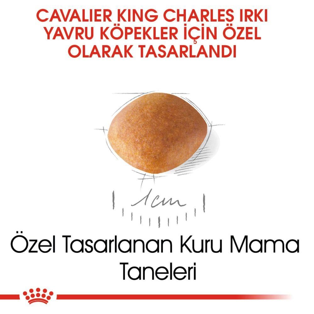 Royal Canin Cavalier King Charles Puppy Yavru Köpek Maması 1.5 Kg