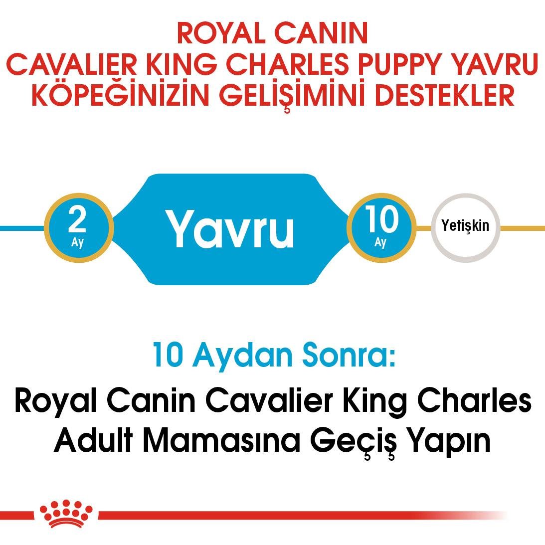 Royal Canin Cavalier King Charles Puppy Yavru Köpek Maması 1.5 Kg